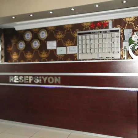 Asmin Ankara
